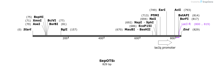 123807_map