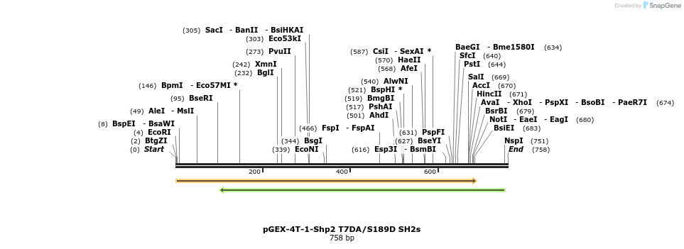 123809_map