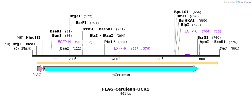 123810_map