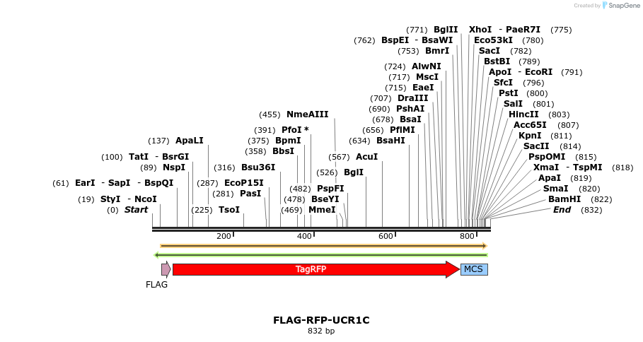 123814_map