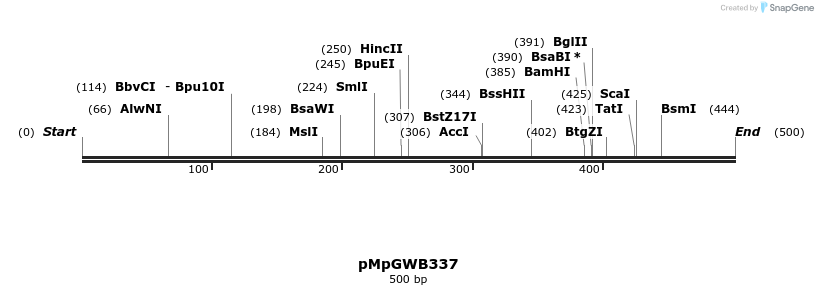 123815_map