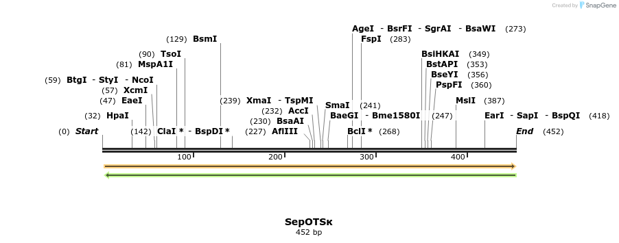 123816_map