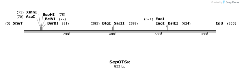 123817_map