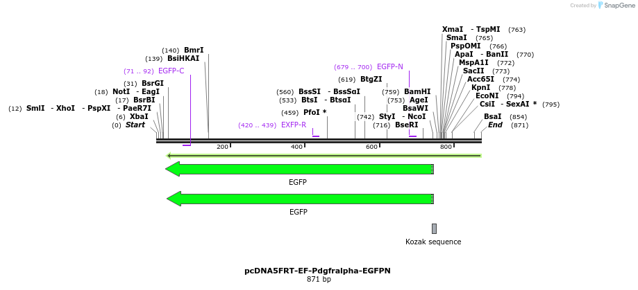 123818_map