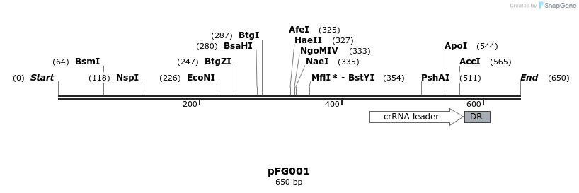 123823_map
