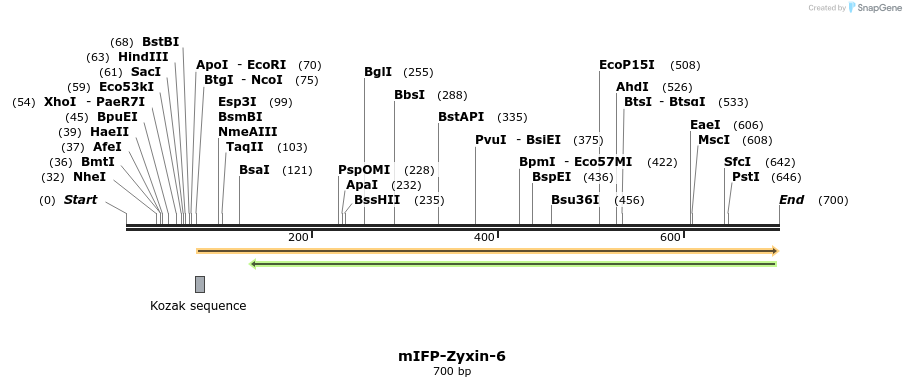 123845_map