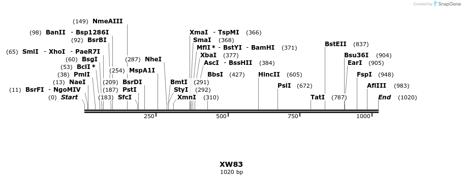 123847_map