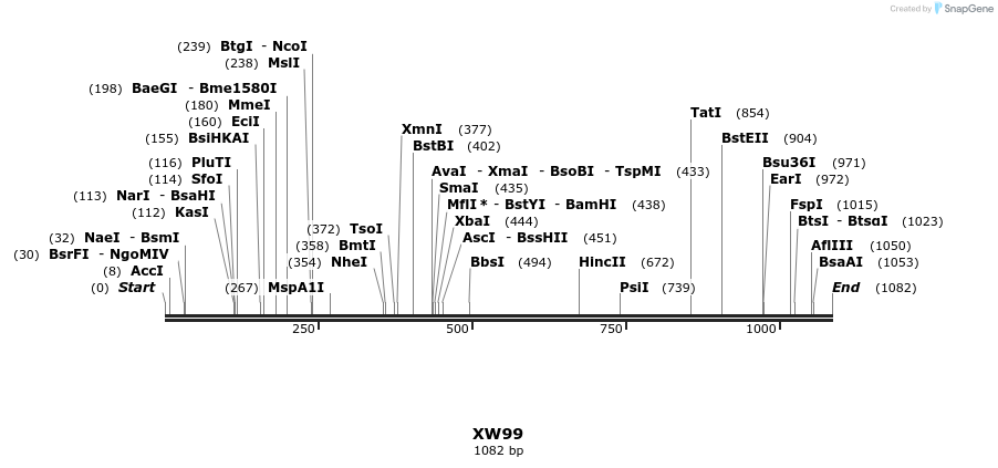 123854_map