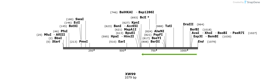 123856_map