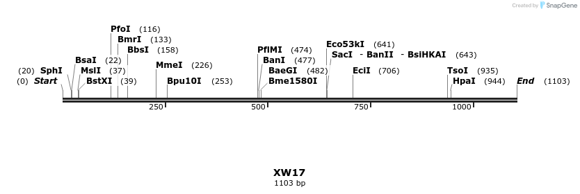 123857_map