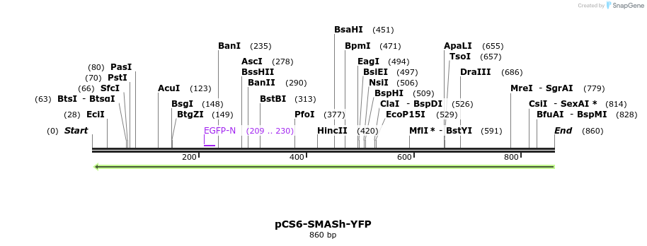 123860_map