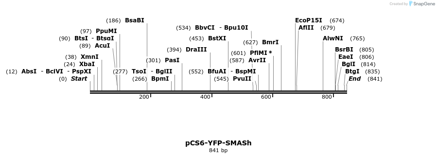 123864_map