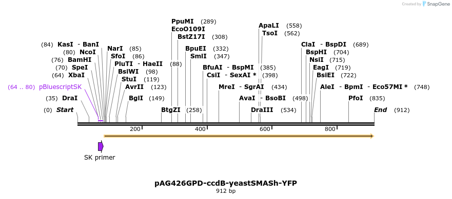 123866_map