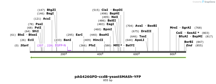 123868_map