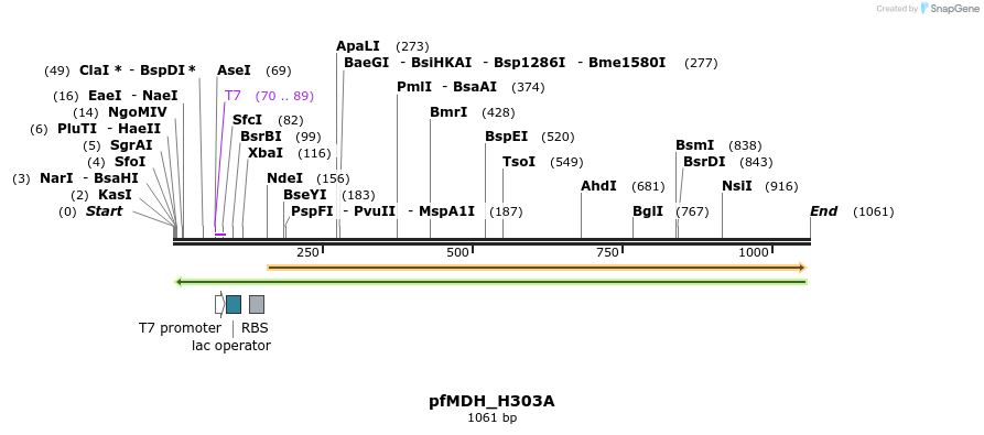 123869_map