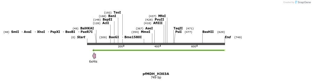 123870_map