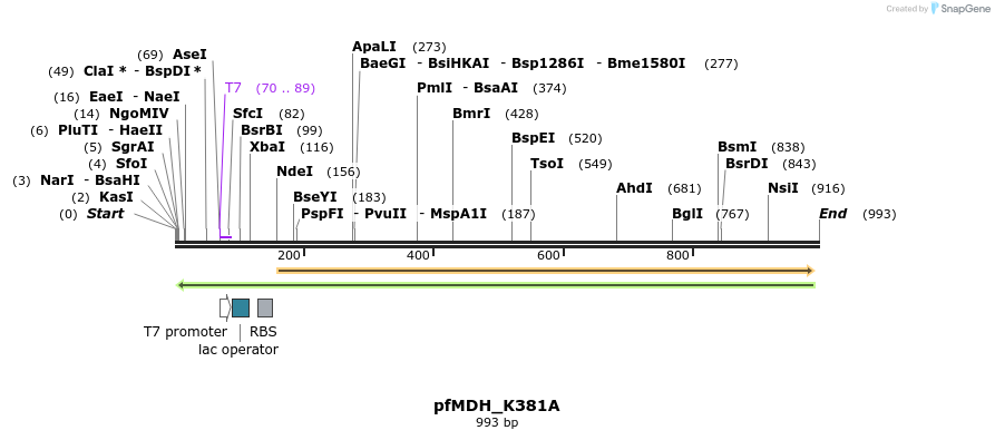 123871_map