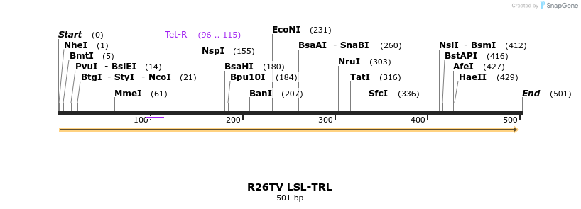 123884_map