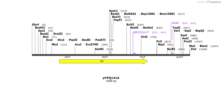 123886_map