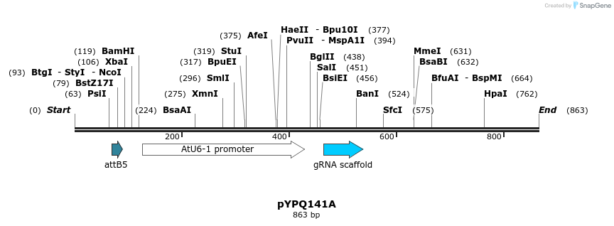 123887_map