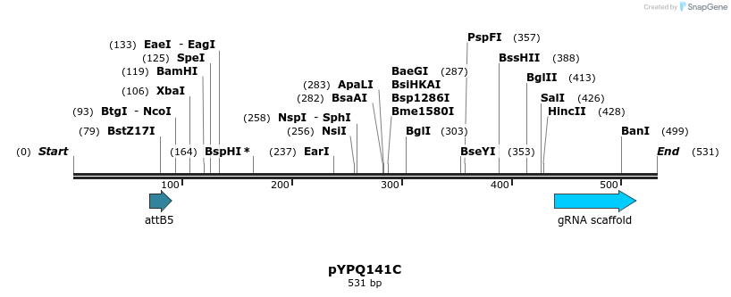 123894_map