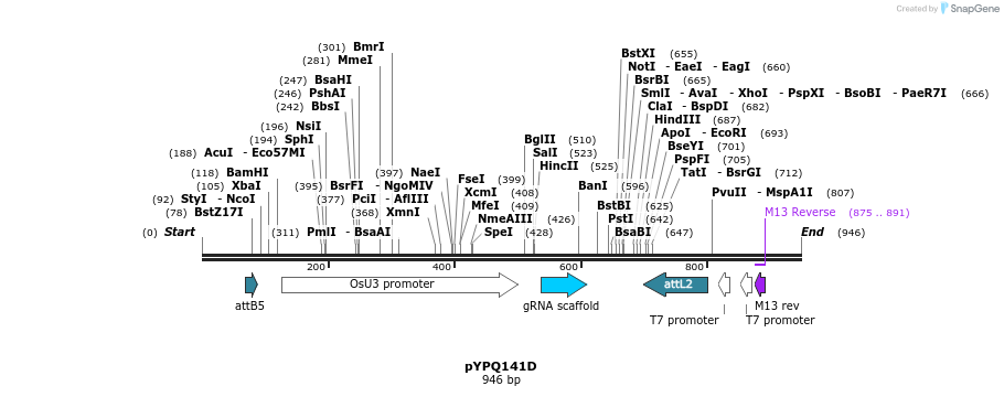123897_map