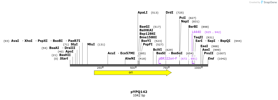 123898_map