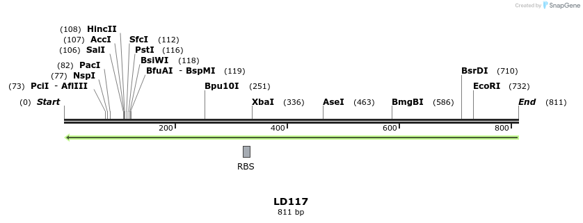 123900_map