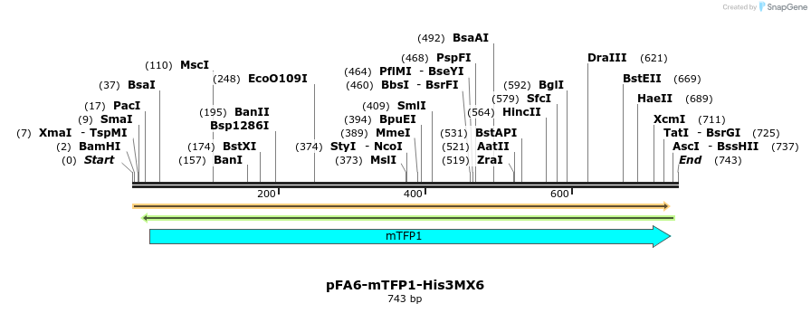 123901_map