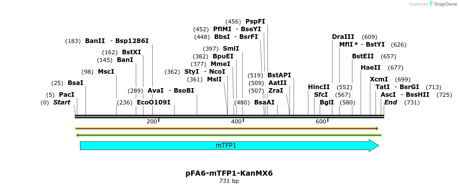 123903_map