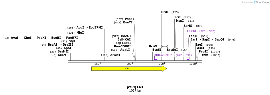 123906_map