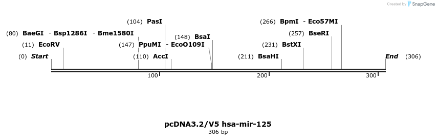 12391_map