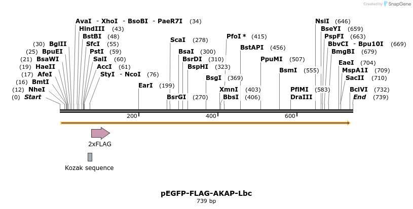123913_map