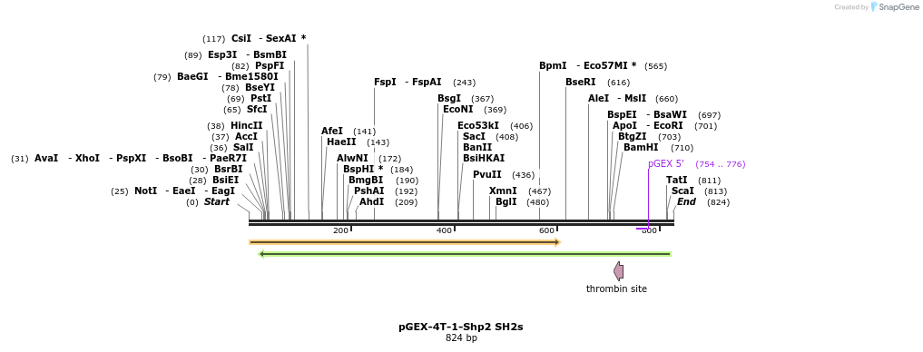 123919_map