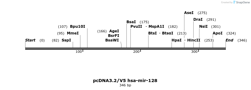 12392_map