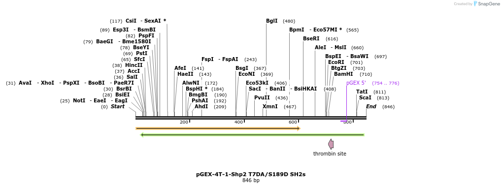 123920_map