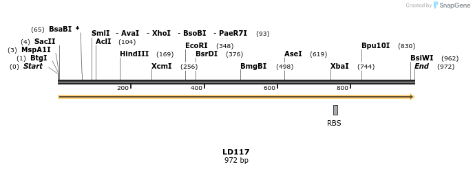 123921_map