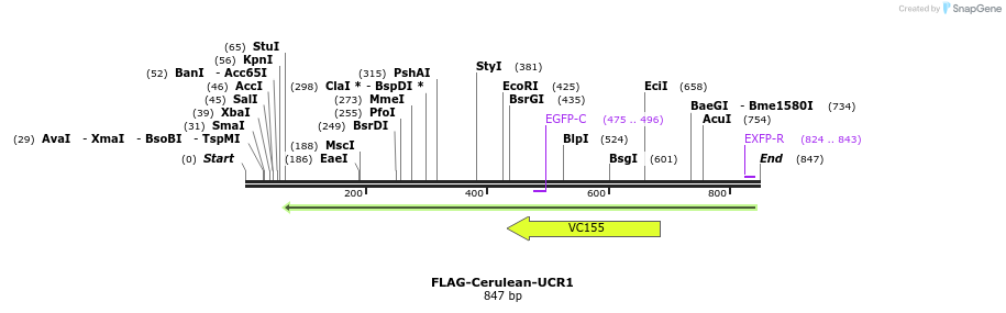 123922_map