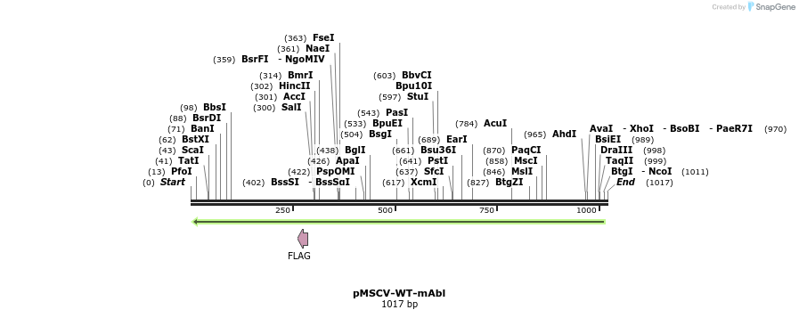 123930_map