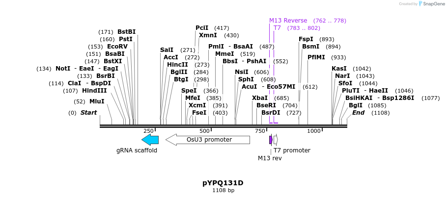 123942_map