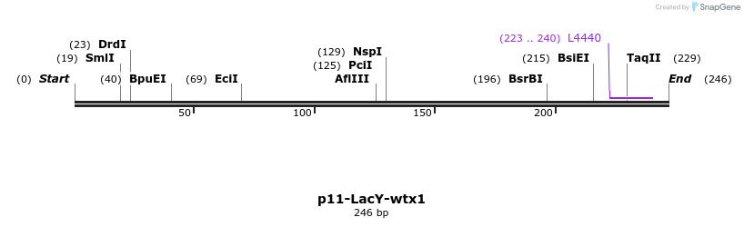 123945_map