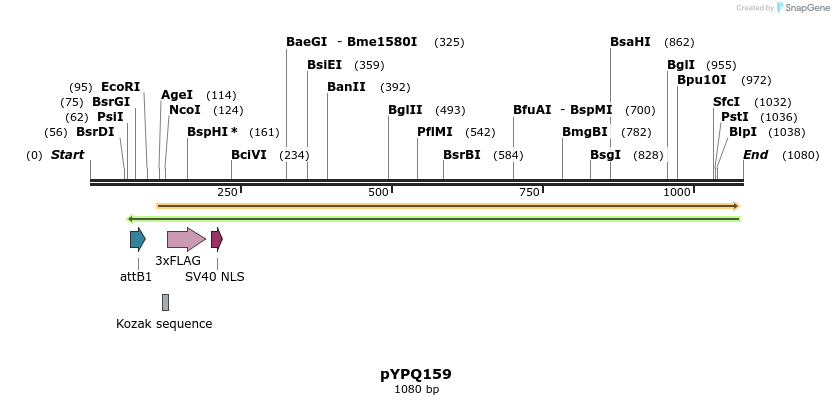 123946_map