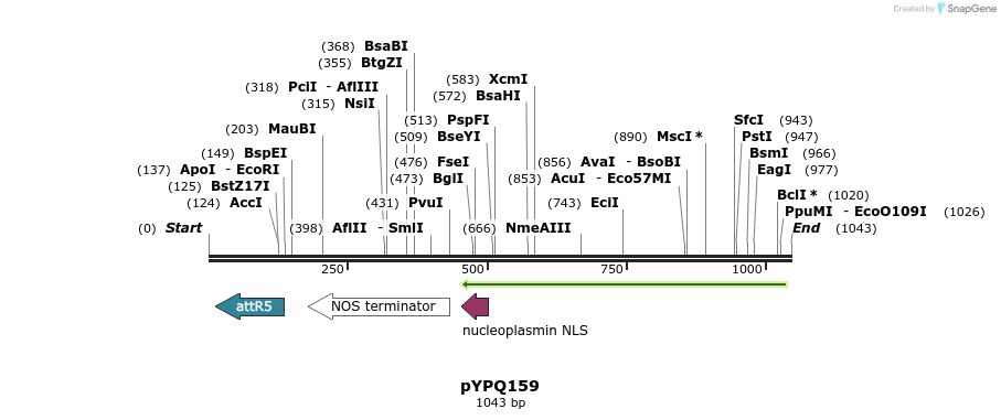 123950_map