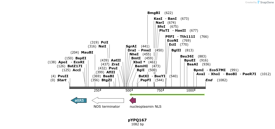 123951_map