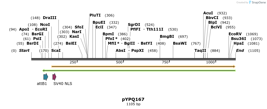123953_map
