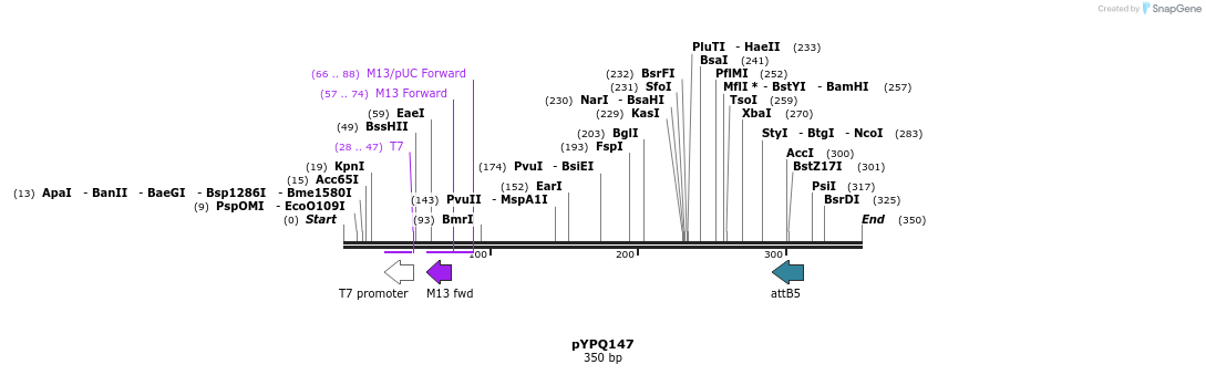 123954_map