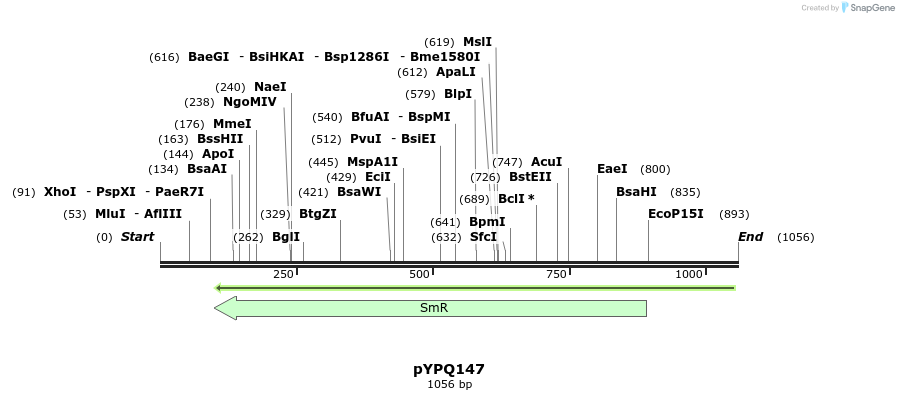 123955_map