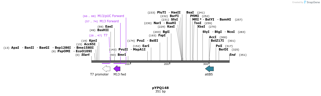 123959_map