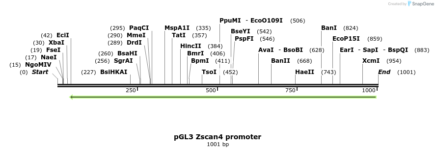 123961_map