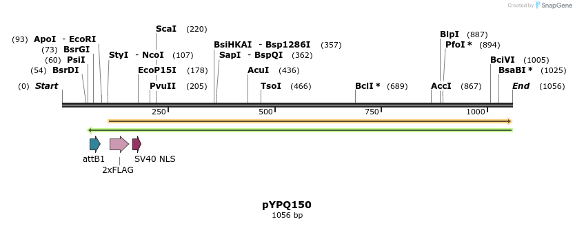 123964_map